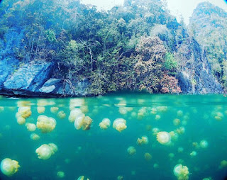 10 Surga Tersembunyi Di Indonesia, Yuk Berangkat!