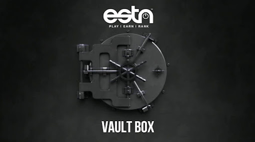 estn-vault-box