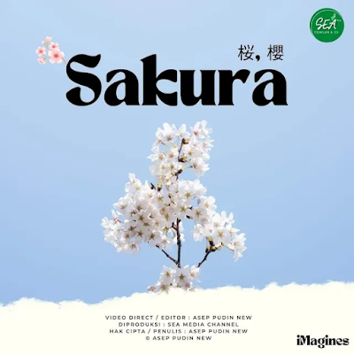 ALBUM SAKURA X PERISAI