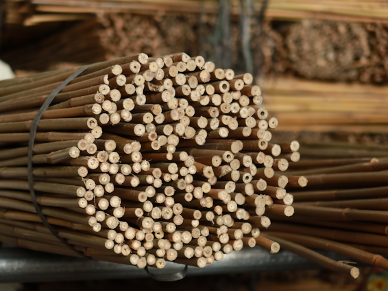 Can Small Businesses Benefit from Bamboo Cane Suppliers?
