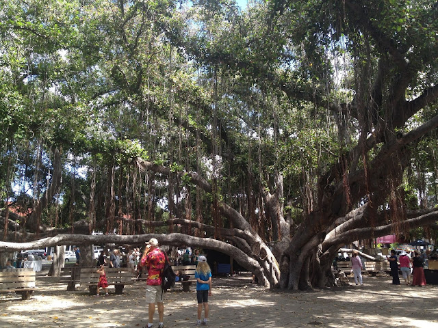 8 Tempat Wisata Terbaik Dunia Untuk Liburan