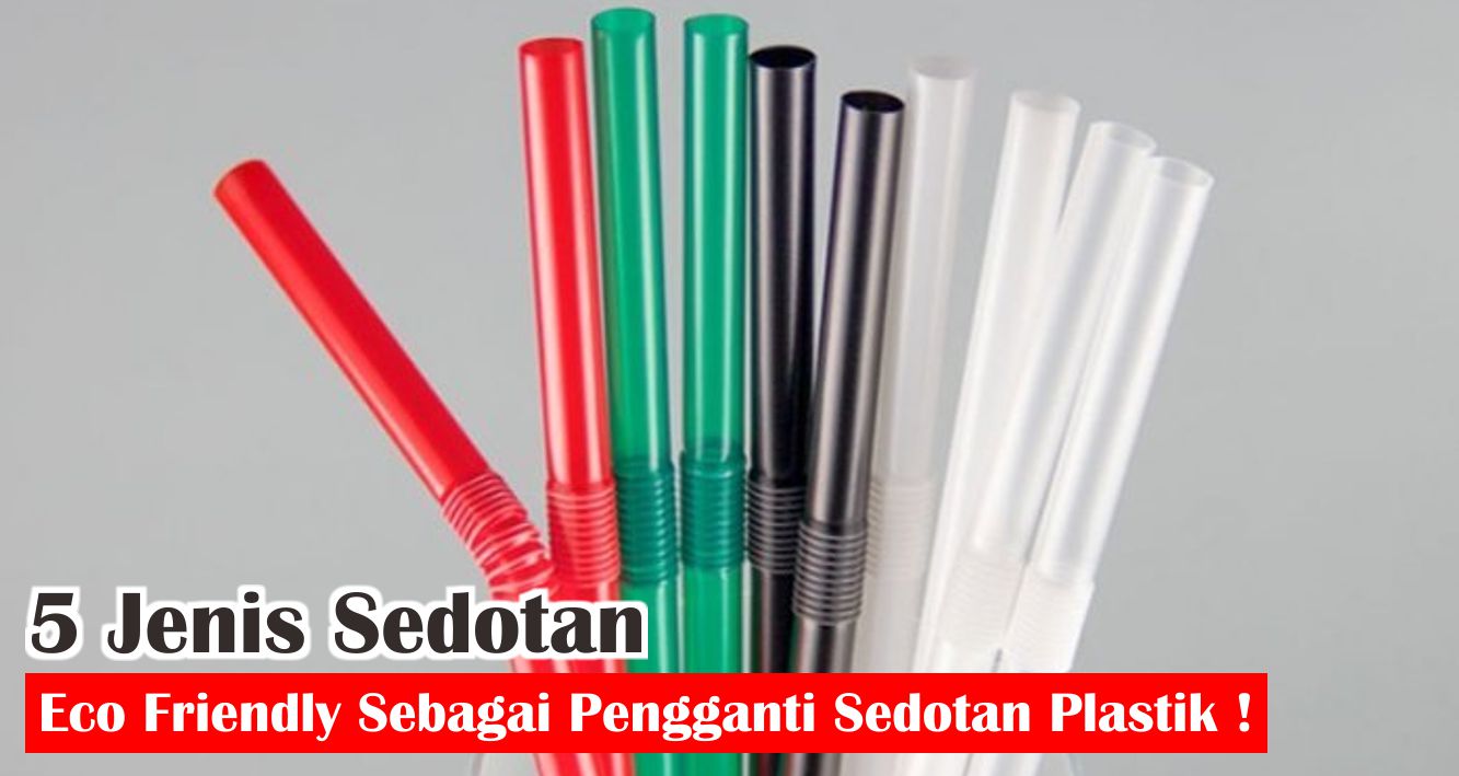  Ini Lho 6 Jenis Sedotan Unik Yang Ramah Lingkungan !