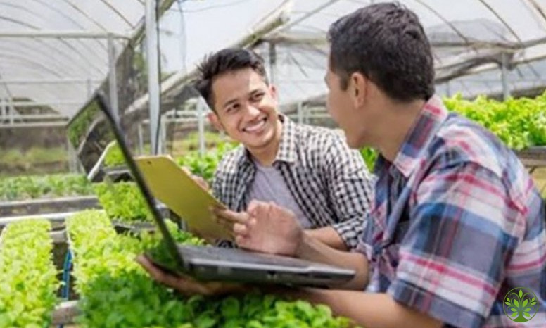 Mengapa Petani Muda Amat Penting Gan?