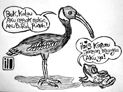 Hewan-hewan Unik Khas Indonesia yang Jarang Orang Tahu! PART 11