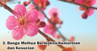Ini Dia Kisah Tersembunyi di Balik Ornamen Imlek, Kamu Wajib Tahu !