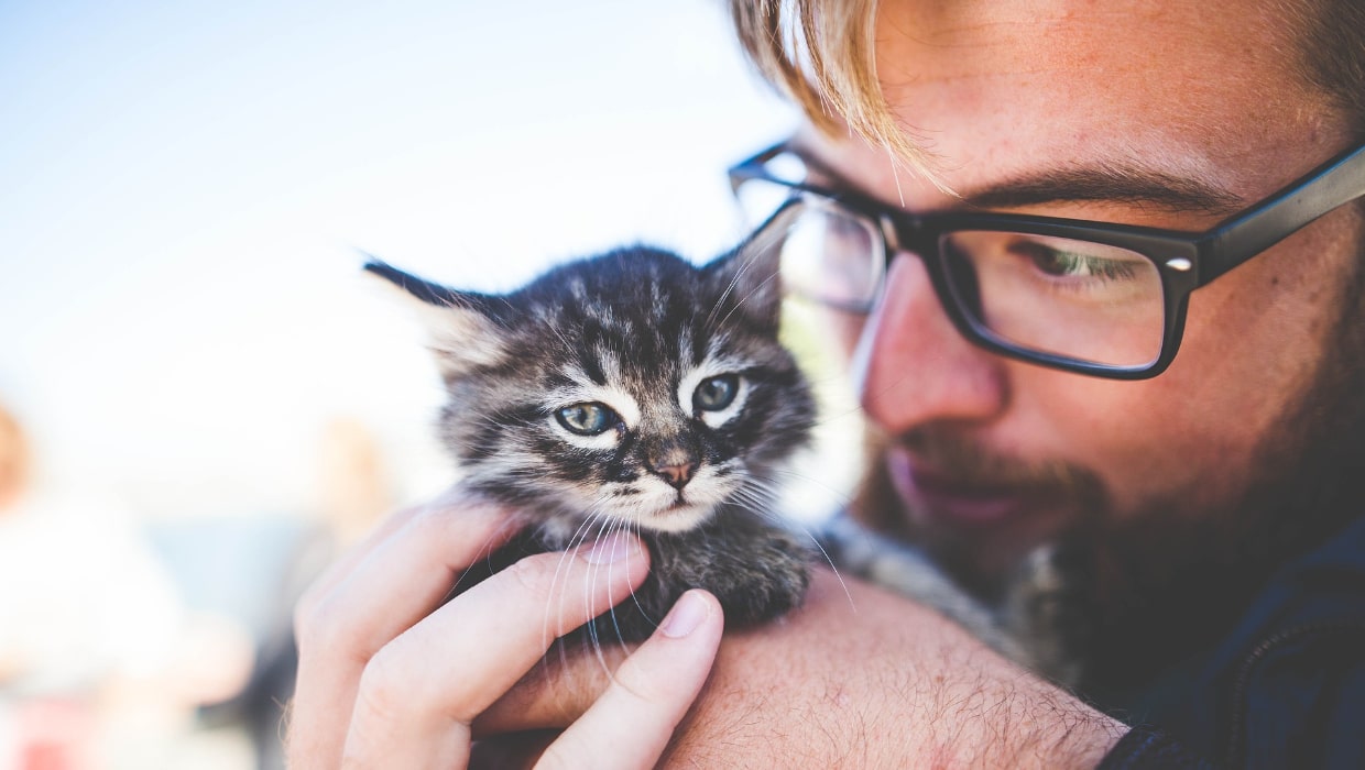MasyaAllah, Ini 5 Alasan Kenapa Kucing Harus di Sayang