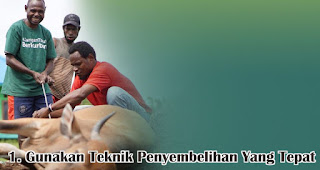 Rahasia Mengolah Daging Qurban, Auto Empuk Saat Dimasak !