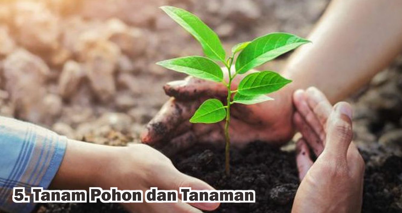 6 Hal Yang Wajib Kamu Lakukan Untuk Perbaiki Kualitas Udara !