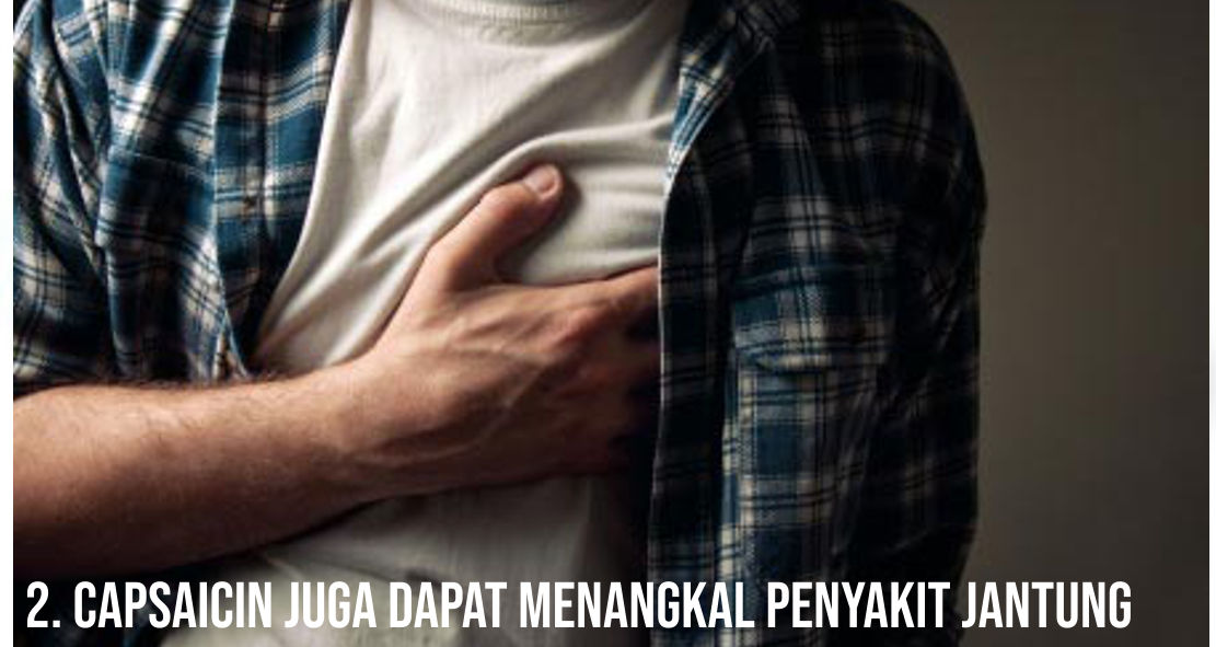 Fakta Mengejutkan Ternyata Cabai Dapat Panjangkan Umur ?!