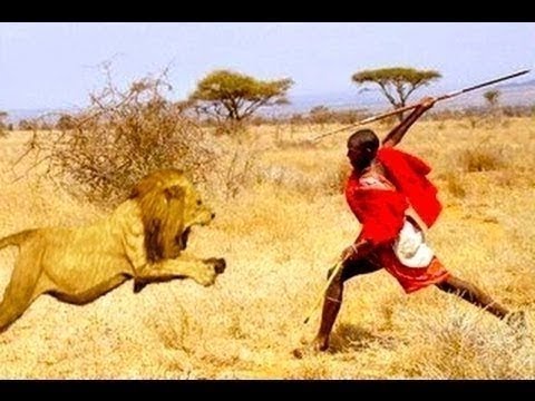 Miris! Kaki Anak Singa Ini Sengaja Dipatahkan Agar Tidak Kabur Saat Diajak Foto!