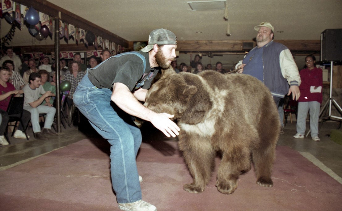 Beruang Pegulat, Ted, Binatang Yang Pernah Bertanding di Gulat Professional WWF