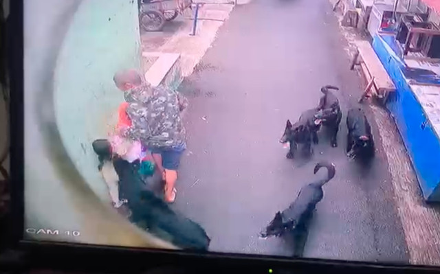 5-anjing-di-bandung-lepas-serang-2-bocah-malamnya-korban-panas-hingga-kejang