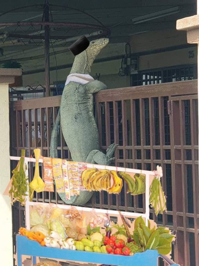 Ada-ada saja Netizen, Kali ini Biawak jadi korban Editan Meme Kocak