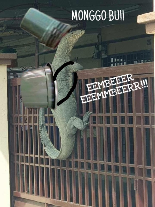 Ada-ada saja Netizen, Kali ini Biawak jadi korban Editan Meme Kocak
