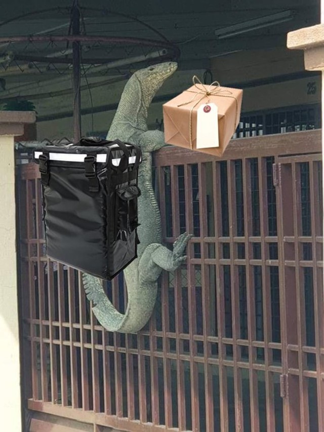 Ada-ada saja Netizen, Kali ini Biawak jadi korban Editan Meme Kocak