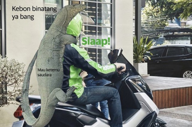 Ada-ada saja Netizen, Kali ini Biawak jadi korban Editan Meme Kocak