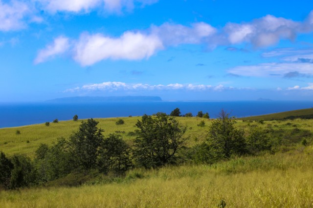 Raja Kamehameha V Sang Pelindung Pulau Terlarang di Hawaii