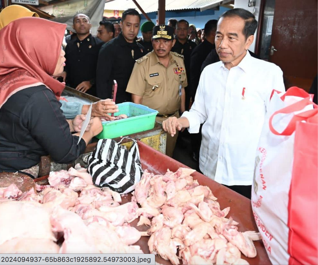 PDIP Yakin Jokowi Cawe-cawe di Pilkada 2024: Terlihat Jelas dan Gamblang