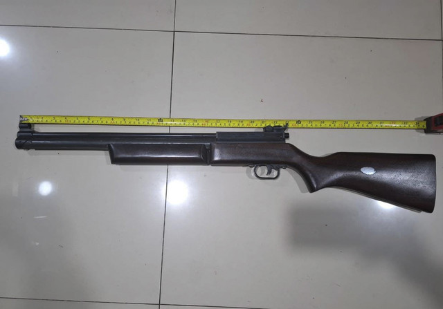 Polisi Tangkap Pria yang Tembak Mati Kucing Pakai Senapan Angin di Kelapa Gading