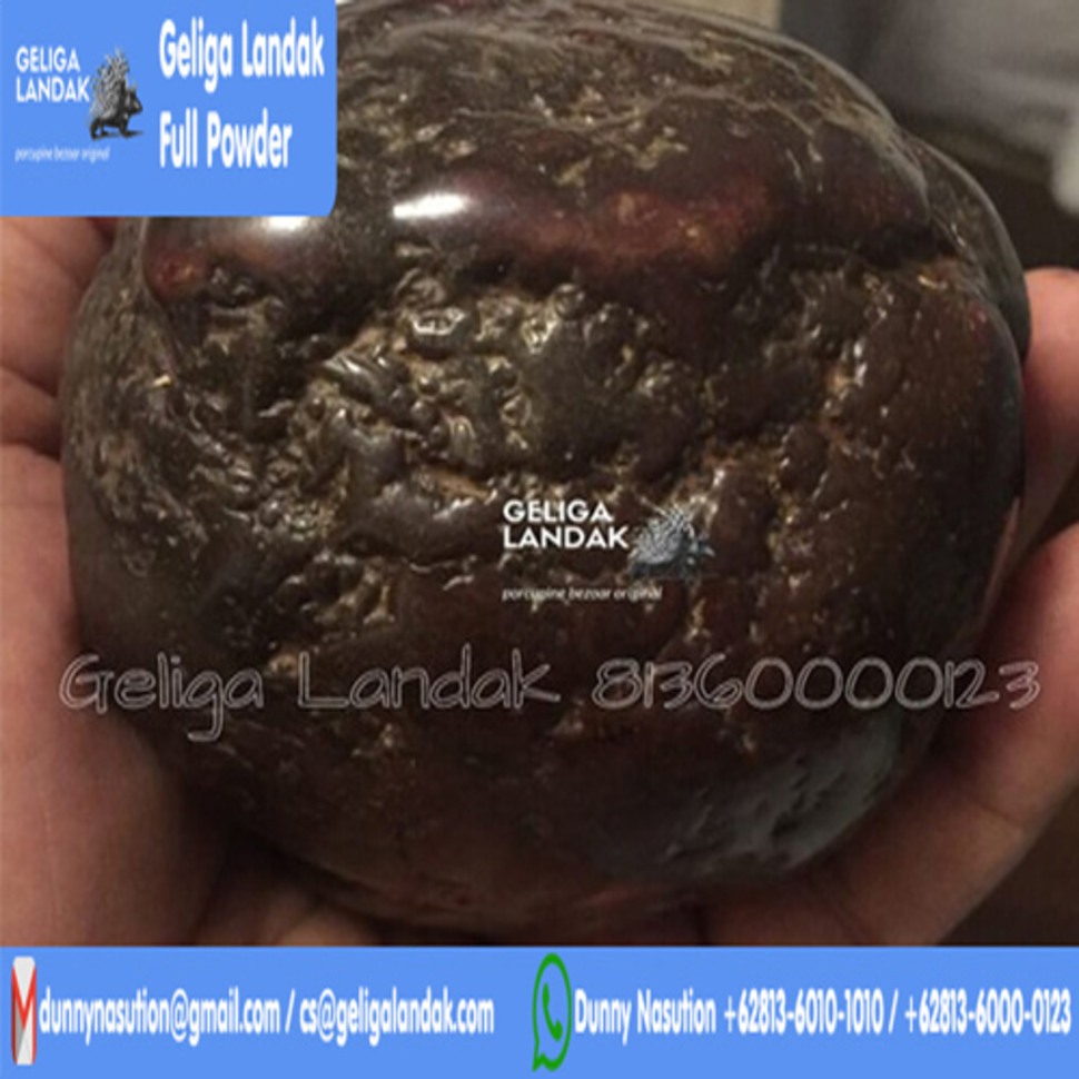 Jenis Kategori Batu Geliga Landak Yang Wajib Kamu Ketahui