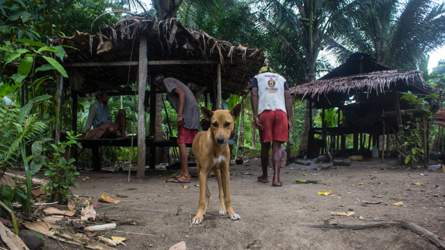 Menengok Kehidupan Suku Tobelo di Belantara Halmahera