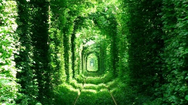 Tunnel of Love atau Terowongan Cinta, Ukraina. Tempat Indah Bagi Yang Dicandu Asmara.