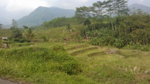 &#91;FR&#93; Jelajah Rute Jakarta – Bandung (13 Jam) 