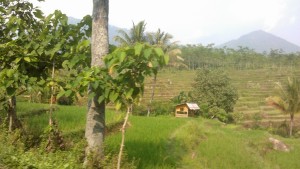&#91;FR&#93; Jelajah Rute Jakarta – Bandung (13 Jam) 