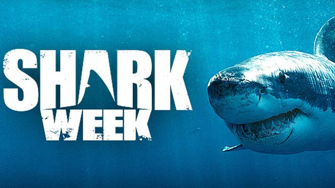 Mengenal Discovery Channel Dan Jaringannya