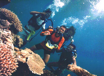 7 Tempat Diving Terindah di Indonesia