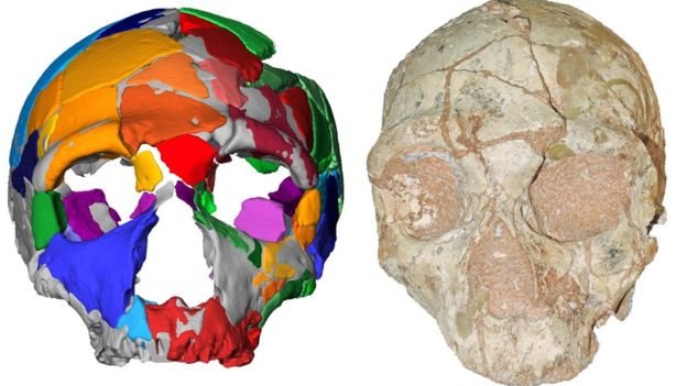 Homo Sapiens paling awal ditemukan di luar Afrika, diyakini berusia 210.000 tahun