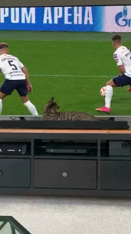 https://c.kaskus.id/media/videos/thumbnail/12p3s_thumbnail.jpg