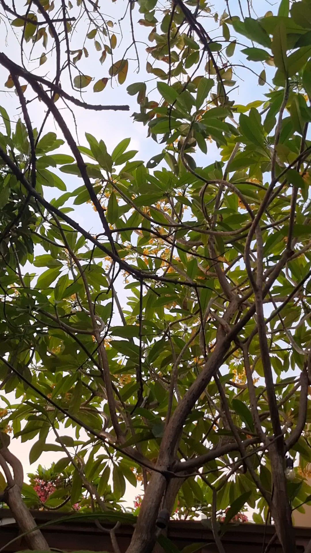 https://c.kaskus.id/media/videos/thumbnail/2pqaj_thumbnail.jpg