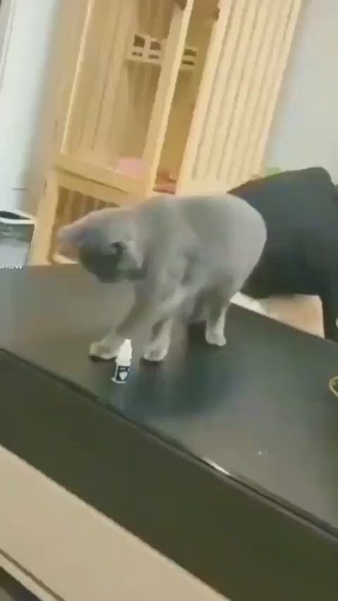 https://c.kaskus.id/media/videos/thumbnail/351hb_thumbnail.jpg