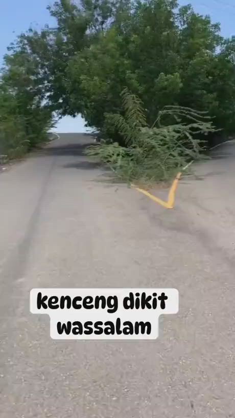 https://c.kaskus.id/media/videos/thumbnail/4ufl4_thumbnail.jpg