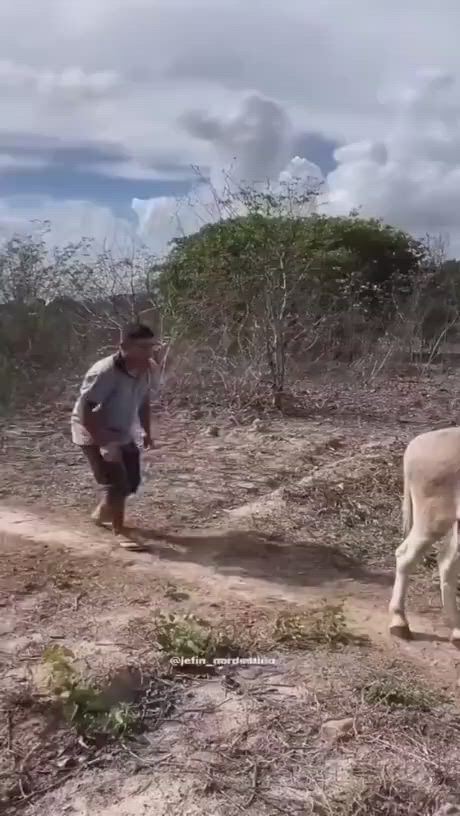 https://c.kaskus.id/media/videos/thumbnail/555ac_thumbnail.jpg