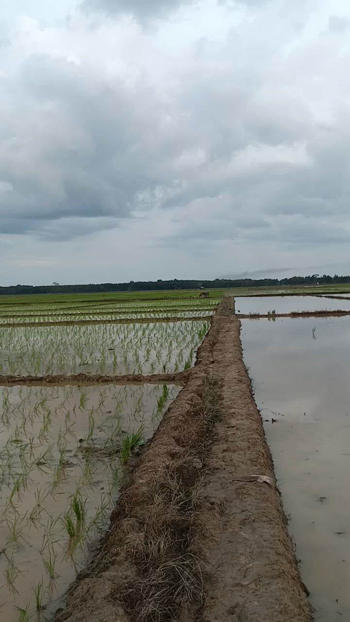 https://c.kaskus.id/media/videos/thumbnail/5ehwt_thumbnail.jpg