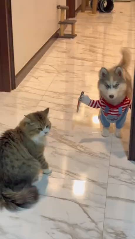 https://c.kaskus.id/media/videos/thumbnail/5vtv1_thumbnail.jpg
