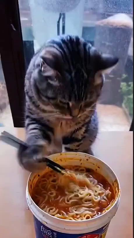 https://c.kaskus.id/media/videos/thumbnail/5x0z8_thumbnail.jpg