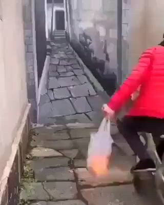 https://c.kaskus.id/media/videos/thumbnail/68dtx_thumbnail.jpg