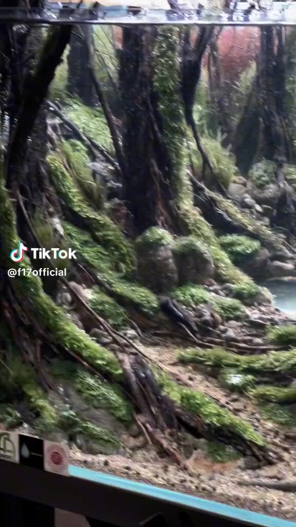 https://c.kaskus.id/media/videos/thumbnail/6ame2_thumbnail.jpg
