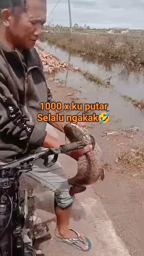 https://c.kaskus.id/media/videos/thumbnail/6horj_thumbnail.jpg