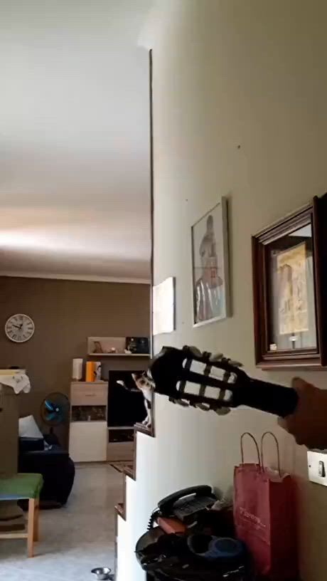 https://c.kaskus.id/media/videos/thumbnail/7oftp_thumbnail.jpg