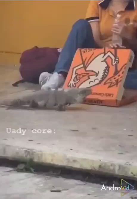 https://c.kaskus.id/media/videos/thumbnail/8baqb_thumbnail.jpg