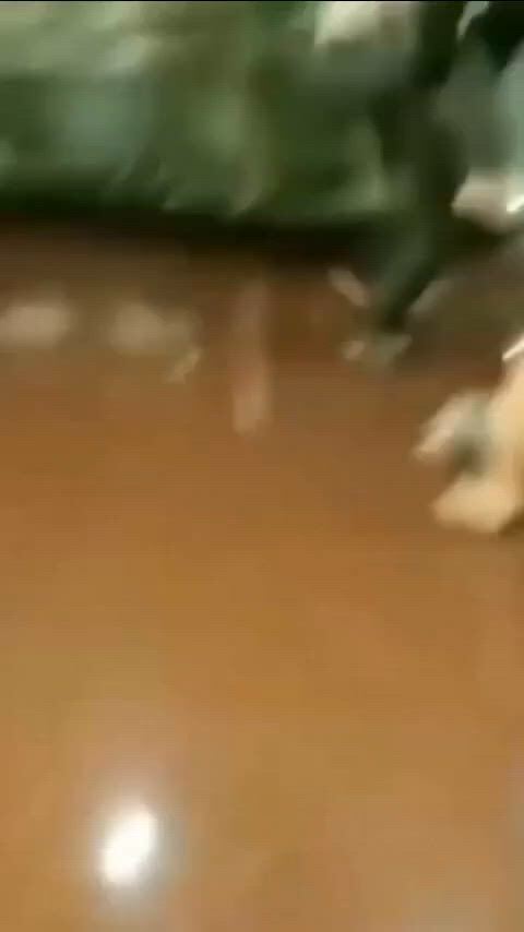 https://c.kaskus.id/media/videos/thumbnail/9a6is_thumbnail.jpg