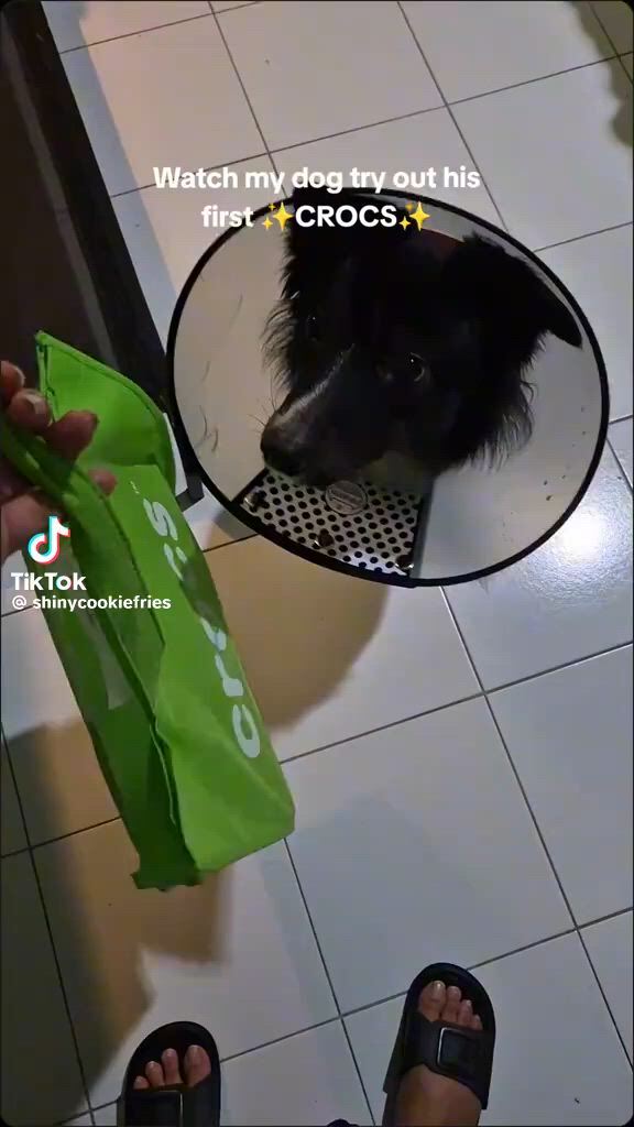 https://c.kaskus.id/media/videos/thumbnail/a65bq_thumbnail.jpg