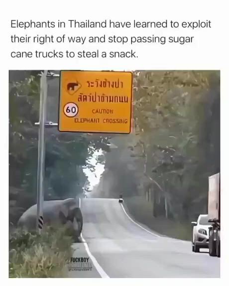 https://c.kaskus.id/media/videos/thumbnail/aahbu_thumbnail.jpg