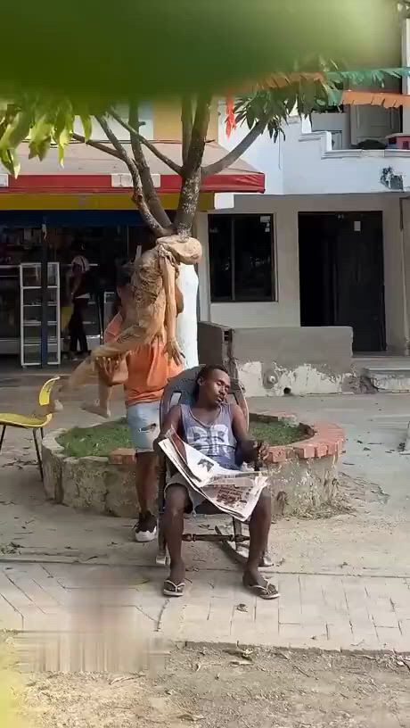 https://c.kaskus.id/media/videos/thumbnail/ab9d1_thumbnail.jpg