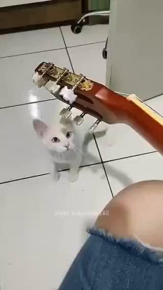 https://c.kaskus.id/media/videos/thumbnail/agn65_thumbnail.jpg