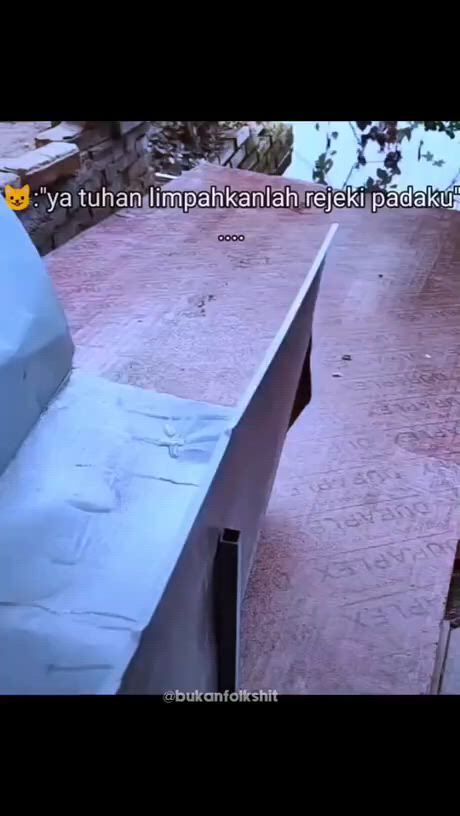 https://c.kaskus.id/media/videos/thumbnail/alhhv_thumbnail.jpg